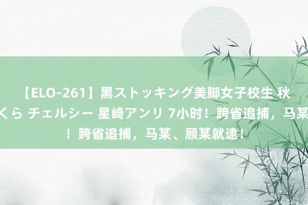 【ELO-261】黒ストッキング美脚女子校生 秋本レオナ さくら チェルシー 星崎アンリ 7小时！跨省追捕，马某、顾某就逮！