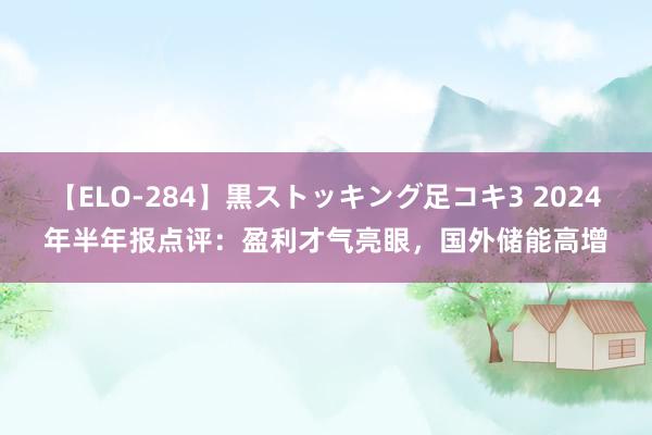 【ELO-284】黒ストッキング足コキ3 2024年半年报点评:盈利才气亮眼,国外储能高增