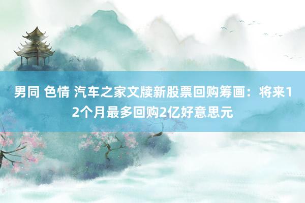 男同 色情 汽车之家文牍新股票回购筹画:将来12个月最多回购2亿好意思元