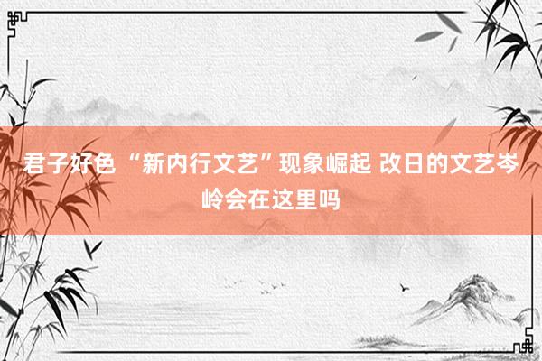 君子好色 “新内行文艺”现象崛起 改日的文艺岑岭会在这里吗