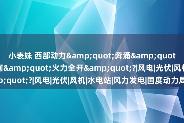 小表妹 西部动力&quot;奔涌&quot;背后 清洁动力基地若何&quot;火力全开&quot;?|风电|光伏|风机|水电站|风力发电|国度动力局