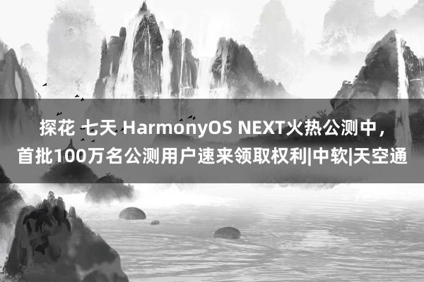 探花 七天 HarmonyOS NEXT火热公测中，首批100万名公测用户速来领取权利|中软|天空通
