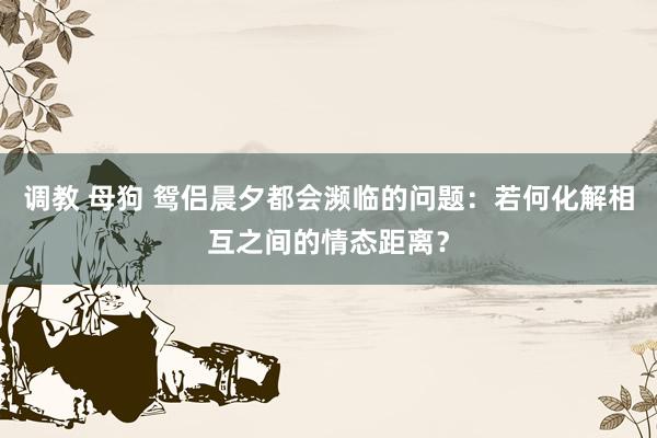 调教 母狗 鸳侣晨夕都会濒临的问题：若何化解相互之间的情态距离？