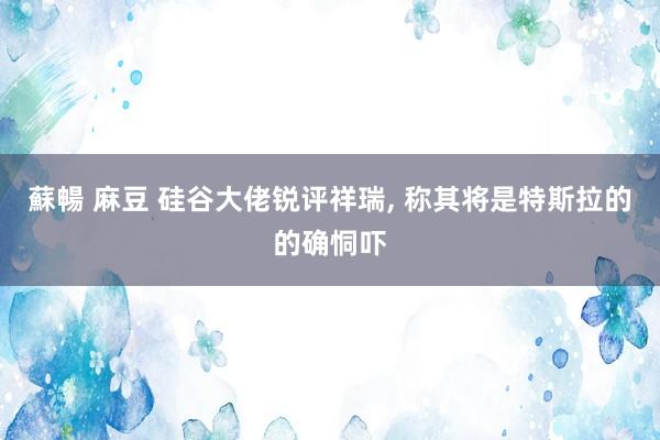 蘇暢 麻豆 硅谷大佬锐评祥瑞， 称其将是特斯拉的的确恫吓