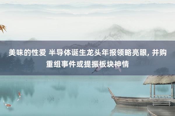 美味的性爱 半导体诞生龙头年报领略亮眼， 并购重组事件或提振板块神情