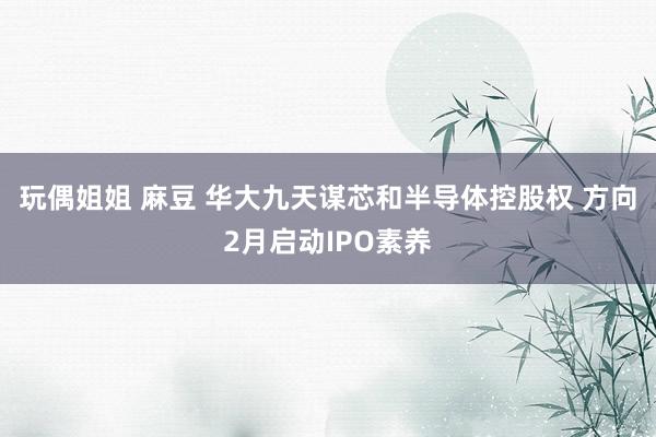 玩偶姐姐 麻豆 华大九天谋芯和半导体控股权 方向2月启动IPO素养