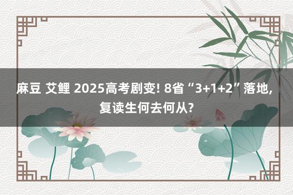 麻豆 艾鲤 2025高考剧变! 8省“3+1+2”落地， 复读生何去何从?